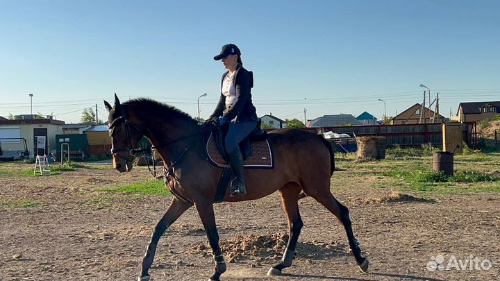 Кобыла для души