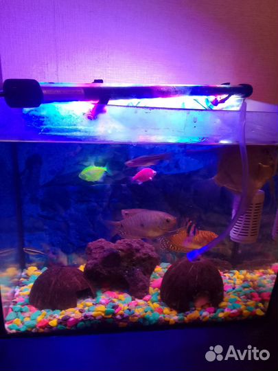 Украшения для аквариума