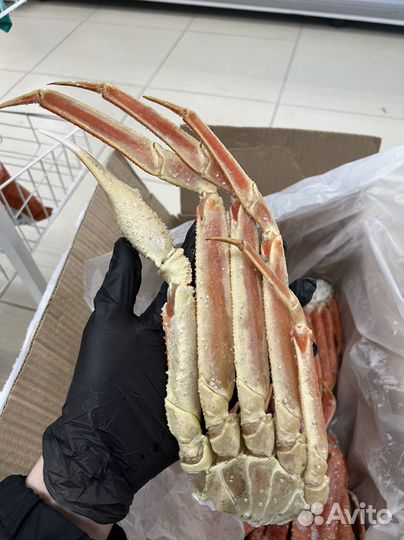 Клешни краба стригуна