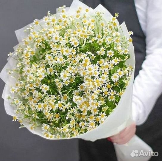 Ромашки Букет из ромашек доставка