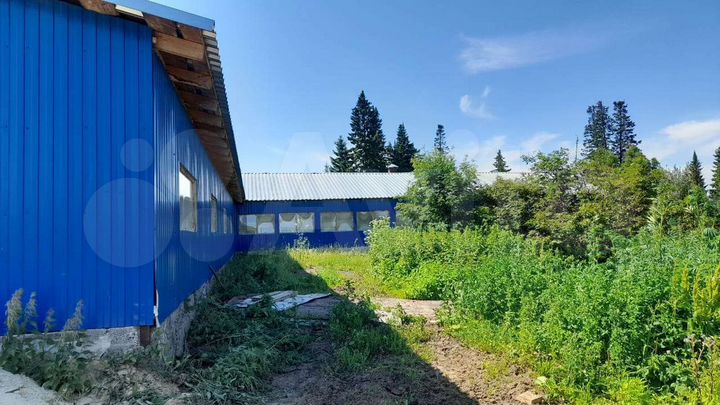 Участок 1,7 га (СНТ, ДНП)