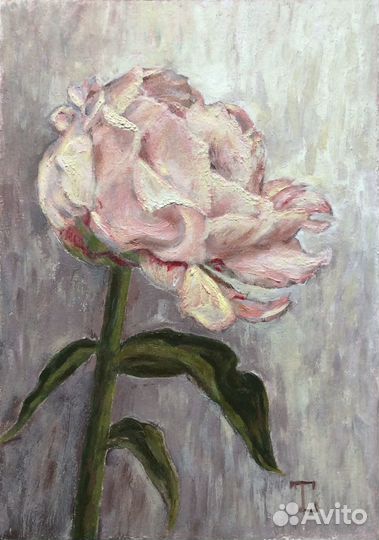 Пион картина маслом миниатюра
