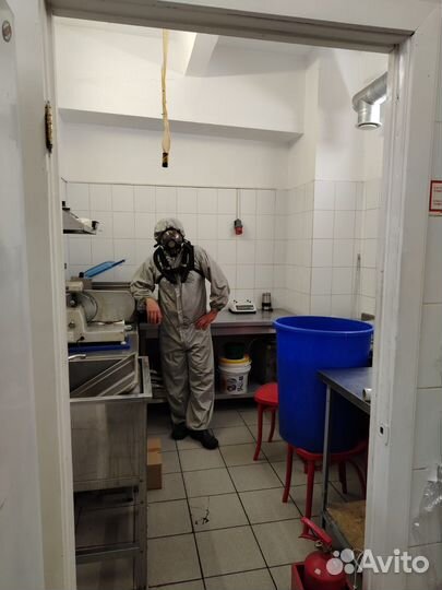 Травить тараканов, Дезинфекция клопов тараканов