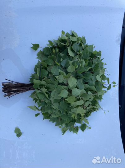 Веники для бани березовые, качественные