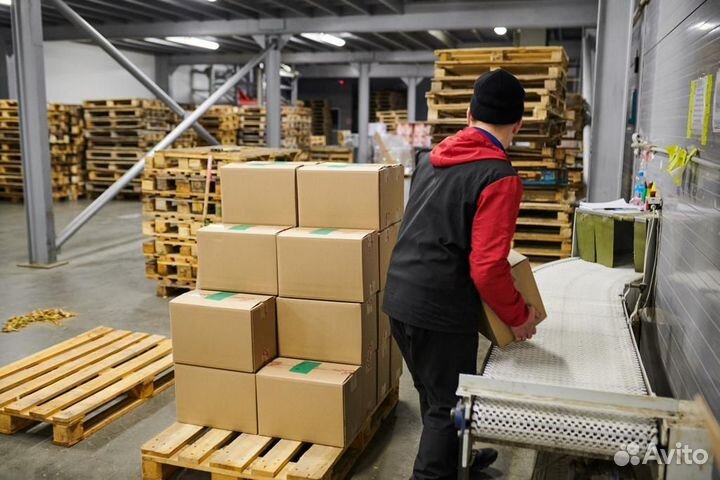 Грузчик / ежедневные выплаты / без опыта