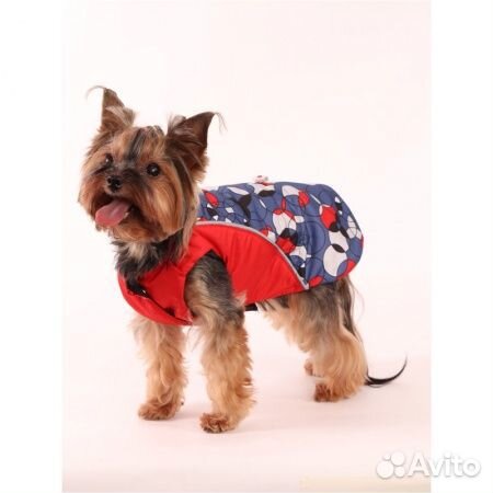 Попона жилет для собаки 28 см
