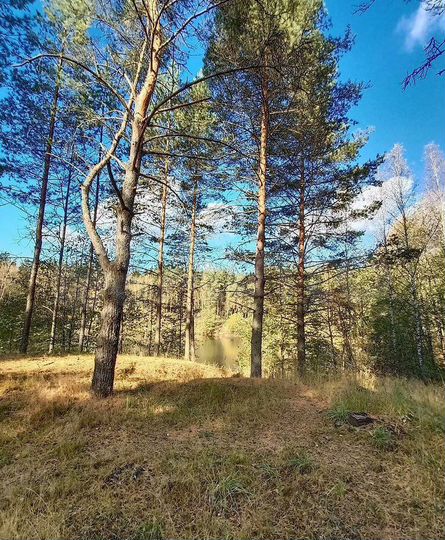 Участок 16 сот. (СНТ, ДНП)