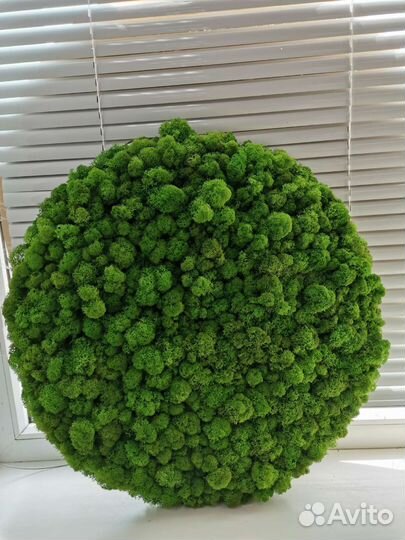 Панно из стабилизированного мха