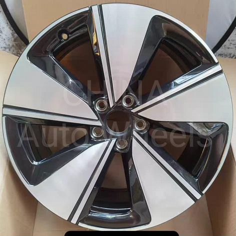 Литые диски Volkswagen 8×R19 5×112