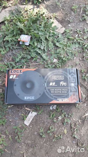 Динамики пищалки