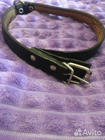 Ошейник для собак
