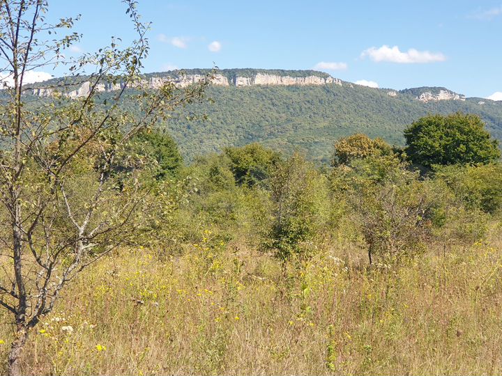 Участок 27,6 сот. (ИЖС)