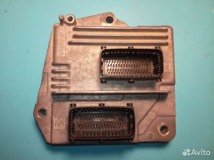 Эбу Опель (мозги)