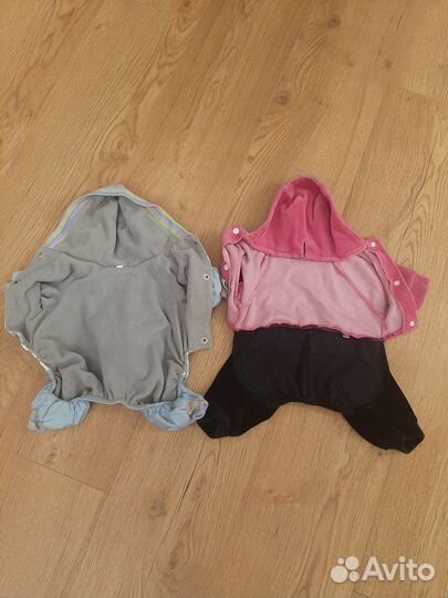 Одежда для собак мелких пород