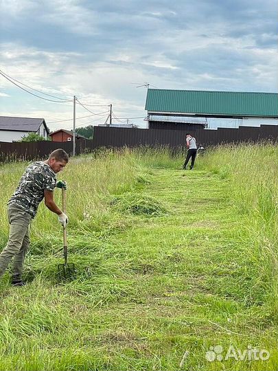 Расчистка участка. Спил деревьев