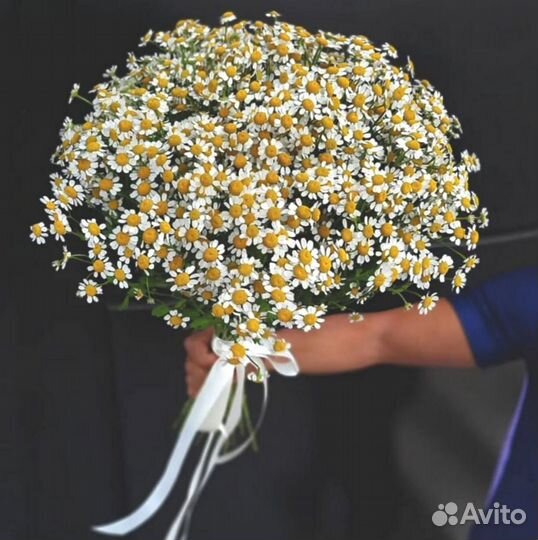 Букет из матрикарии