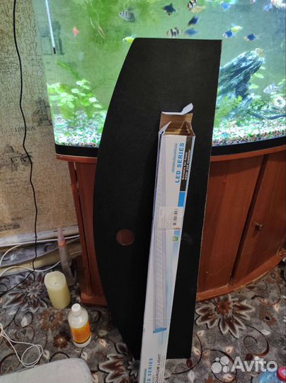 Аквариумные рыбки