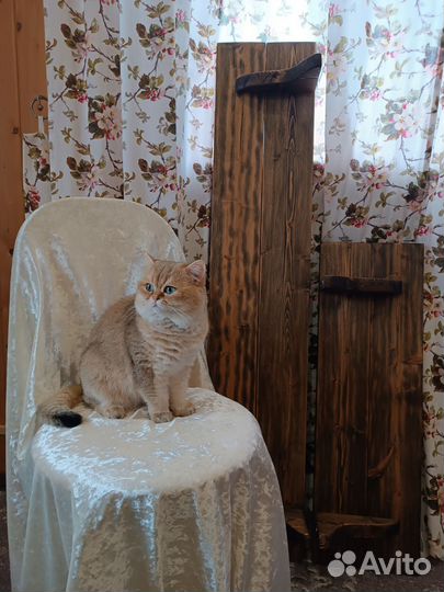 Полка настенная