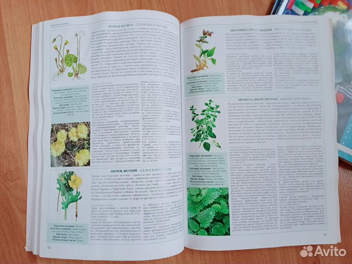 Книги. Журналы