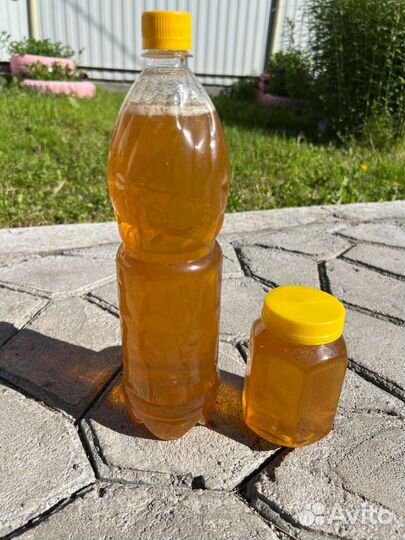 Мед разнотравье Уймонской долины (Усть-Кокса) 2024