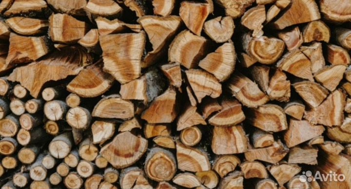 Дрова колотые дуб