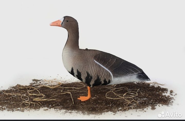 Чучела гусей