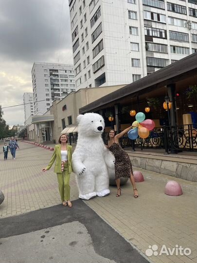 Ростовой медведь на день рождения