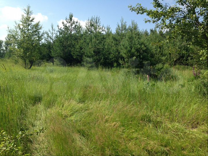 Участок 8 сот. (СНТ, ДНП)