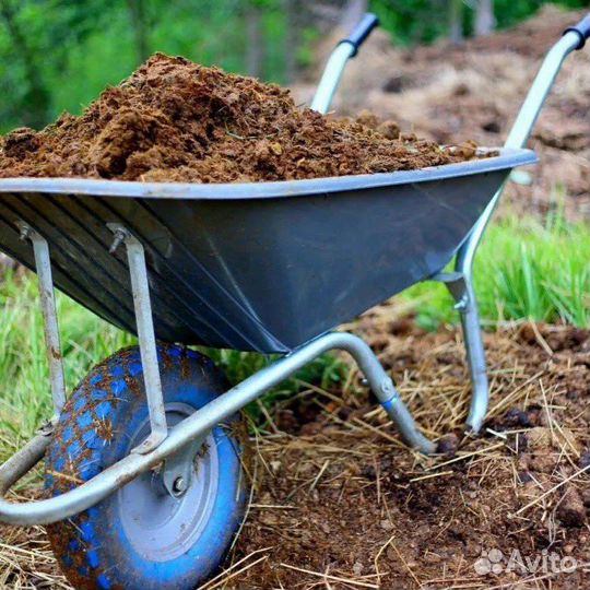 Козий навоз