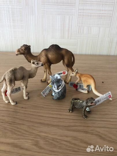 Шляйх schleich новые (африка, арктика, америка)