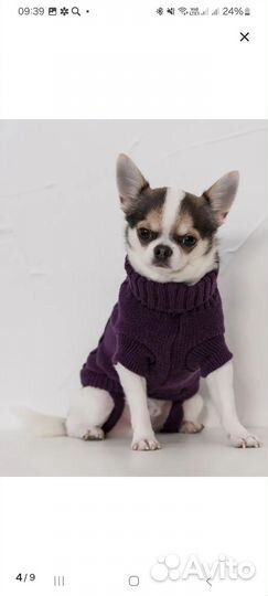 Свитер для собак мелких пород