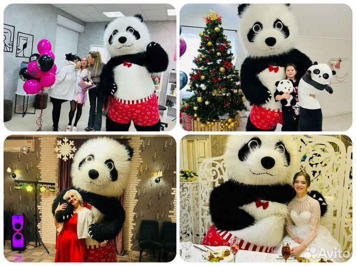 Поздравление с Днем Рождения, Медведь на праздник