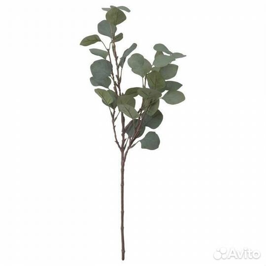 Искусственные растения икеа смикка эвкалипт