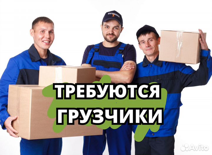 Грузчики на мясокомбинат. Код:sw251