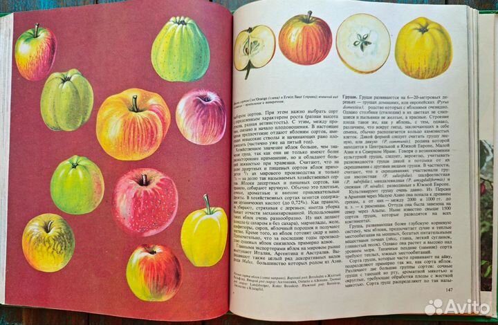 Ботаническая книга плоды земли