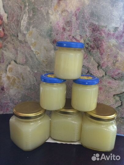 Барсучий жир от охотника