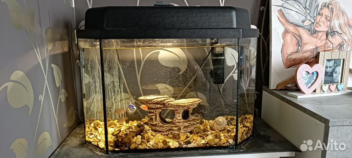 Продам аквариум
