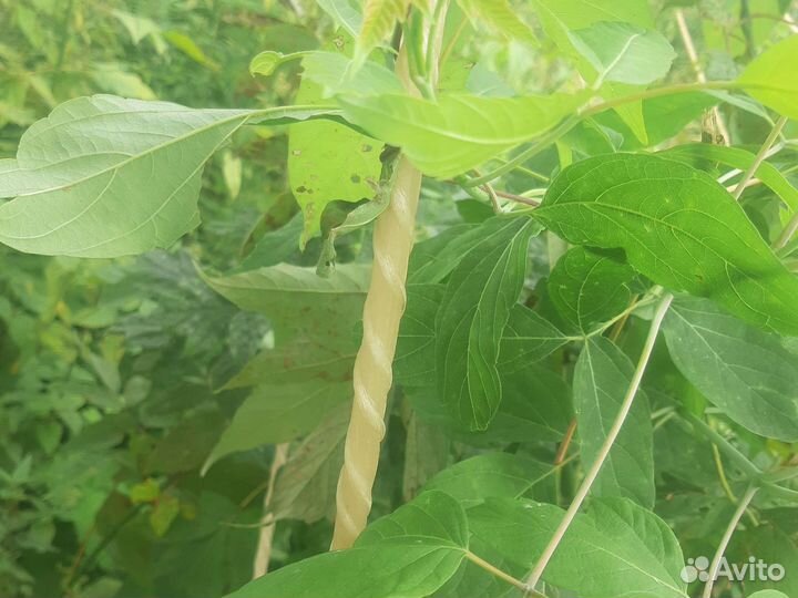 Арматура 10