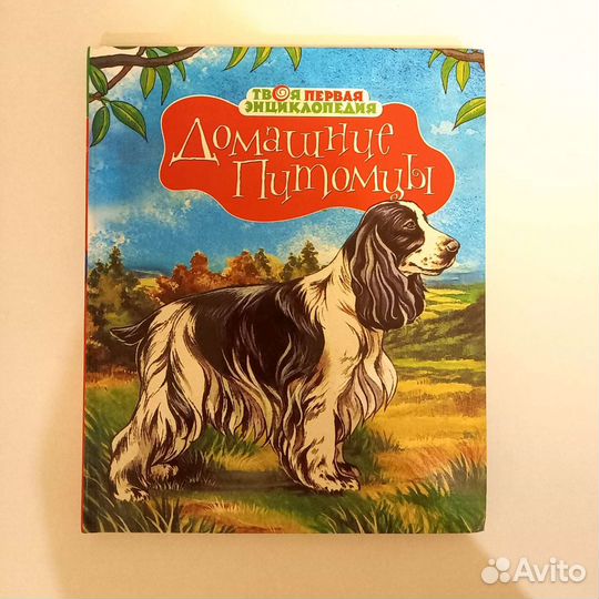 Детская энциклопедия Махаон