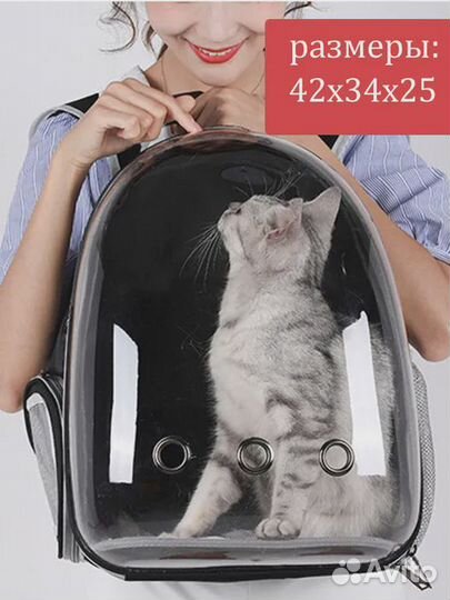 Прозрачный рюкзак-переноска для кошек