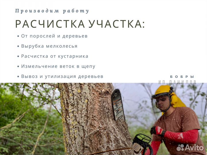 Расчистка участка от деревьев, под строительство