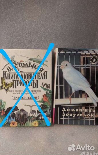 Д.Стефен и Д.Локи 