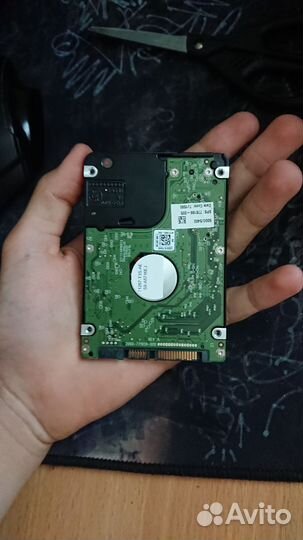 Жесткий диск wd blue 500gb 2.5