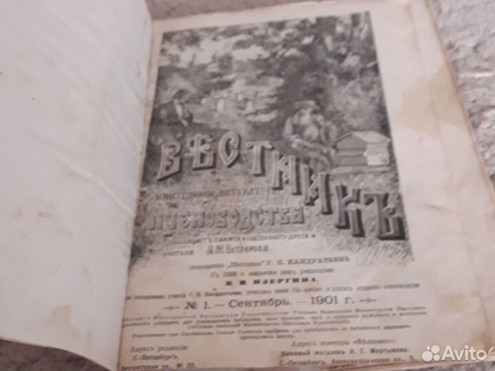 Вестник пчеловодства 1901