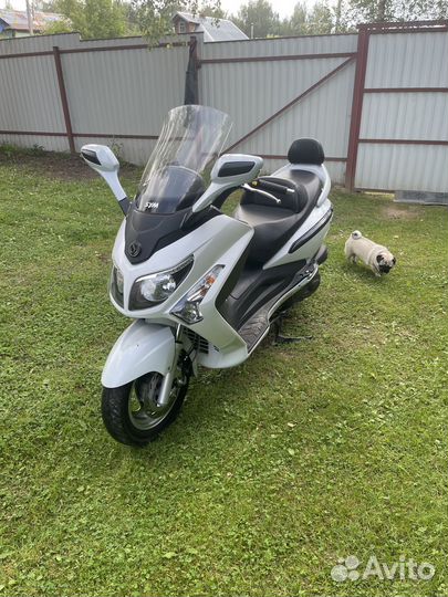 SYM GTS 300I EVO 2013