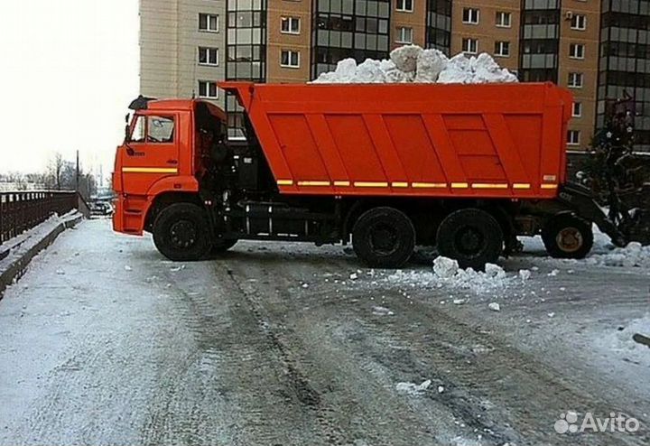 Вывоз снега самосвалами