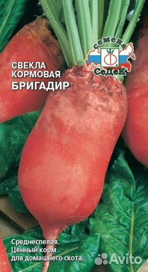 Семена кормовой свеклы