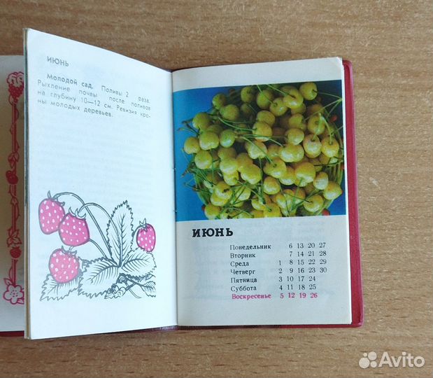 Календарь СССР, 1983 год