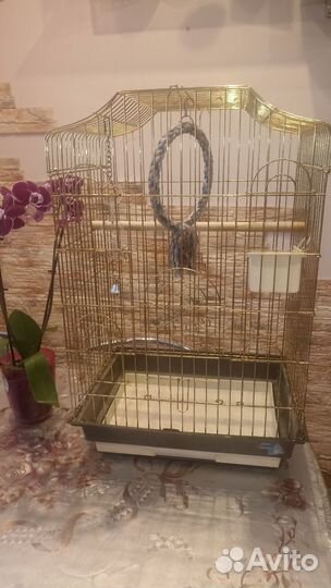 Большая клетка для птиц, попугаев Карелла