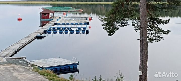 Действующее Форелевое хозяйство
